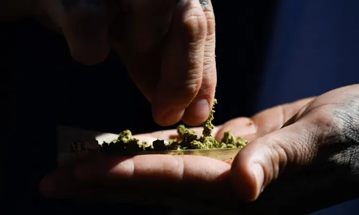 The Green Revolution: Exploring the World of Weed